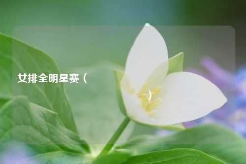 女排全明星赛( कौन सी टीम बनी चैंपियन)