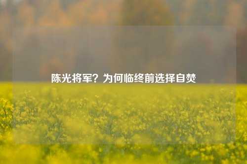 陈光将军?为何临终前选择自焚