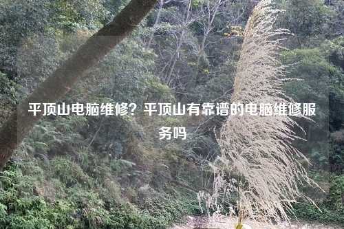 平顶山电脑维修？平顶山有靠谱的电脑维修服务吗