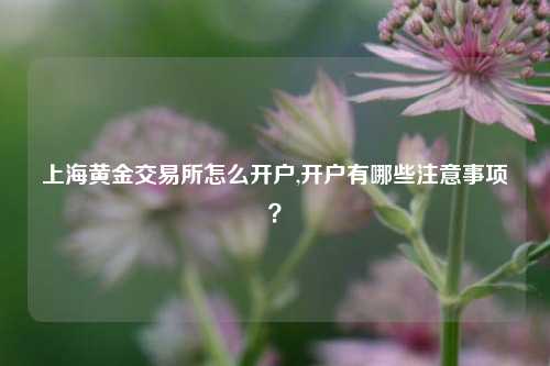 上海黄金交易所怎么开户,开户有哪些注意事项?