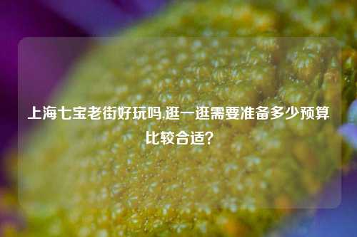 上海七宝老街好玩吗,逛一逛需要准备多少预算比较合适?
