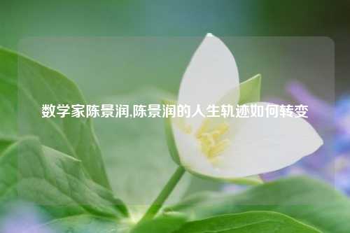 数学家陈景润,陈景润的人生轨迹如何转变