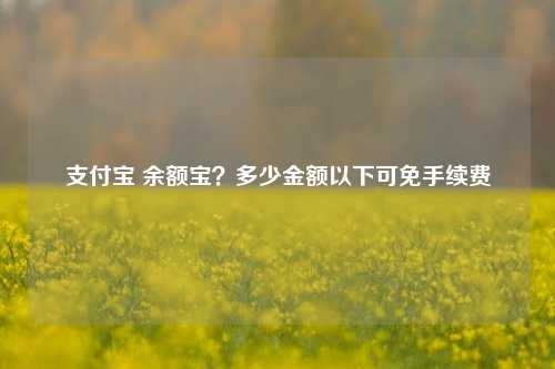 支付宝 余额宝?多少金额以下可免手续费