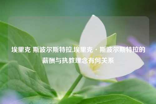 埃里克 斯波尔斯特拉,埃里克·斯波尔斯特拉的薪酬与执教理念有何关系