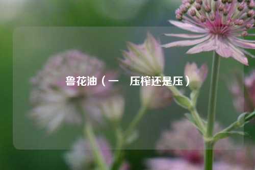 鲁花油（一級压榨还是压）