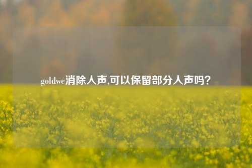 goldwe消除人声,可以保留部分人声吗?