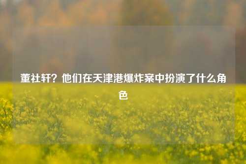 董社轩?他们在天津港爆炸案中扮演了什么角色