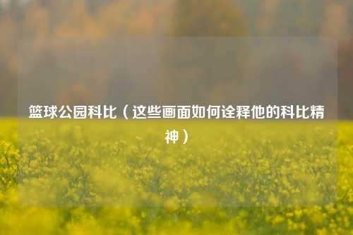 篮球公园科比(这些画面如何诠释他的科比精神)