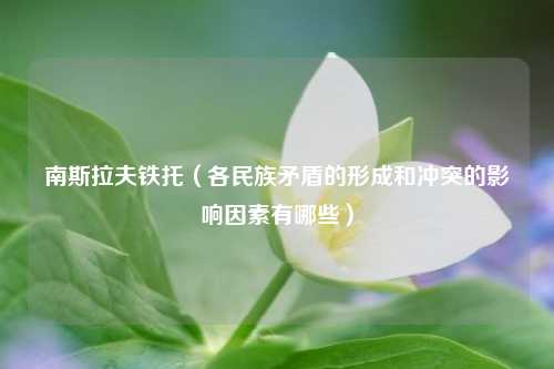 南斯拉夫铁托（各民族矛盾的形成和冲突的影响因素有哪些）