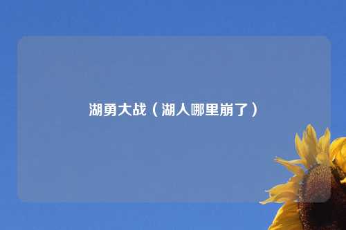 湖勇大战（湖人哪里崩了）