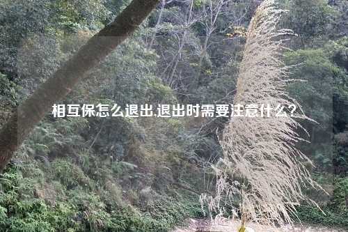 相互保怎么退出,退出时需要注意什么?